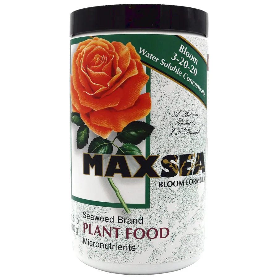 Maxsea Bloom 3-20-20, 1.5 lb