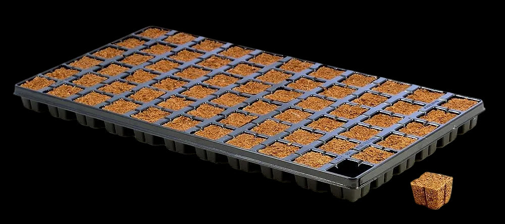 Eazy Plug CT66, 66 Plugs Per Tray - Single Tray