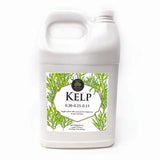 Age Old Kelp - 1 Gallon