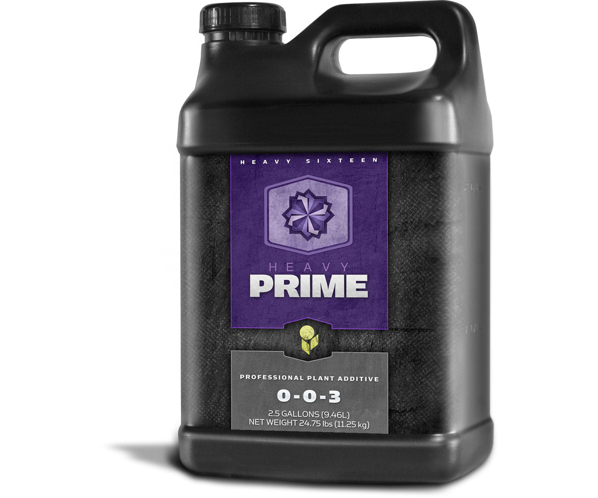 Heavy 16 Prime - 2.5 Gallon