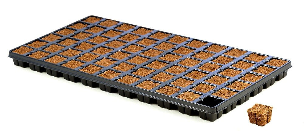 Eazy Plug CT66, 66 Plugs Per Tray - Case of 10 Trays