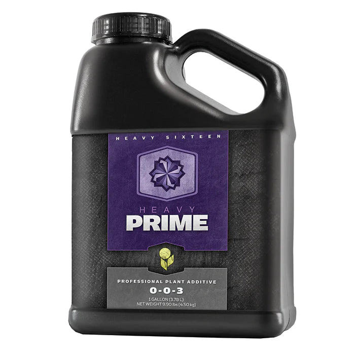 Heavy 16 Prime - 1 Gallon