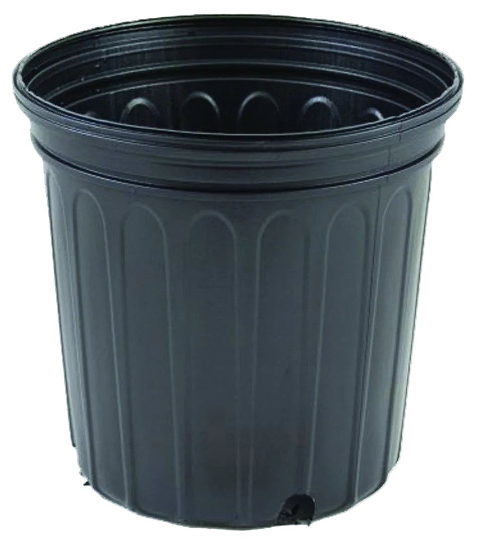 Nursery Pot 2 Gallon - C600SM
